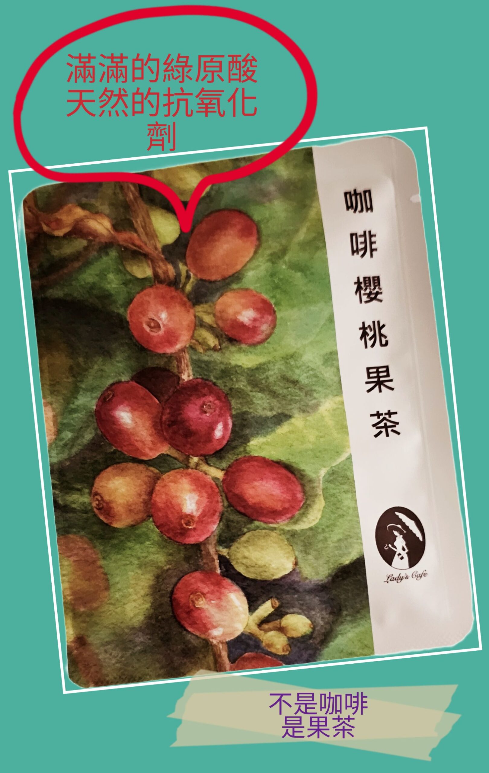 台灣咖啡櫻桃果茶包 (12入裝禮盒):圖片 3